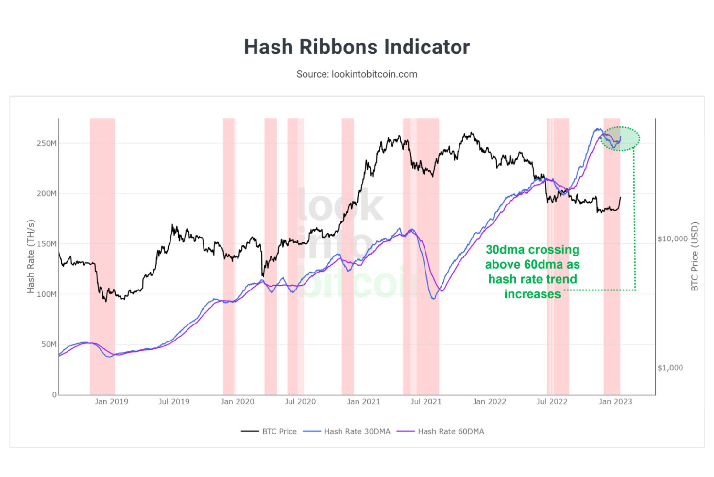 hash ribbons indicator