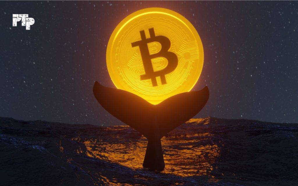 bitcoin pay